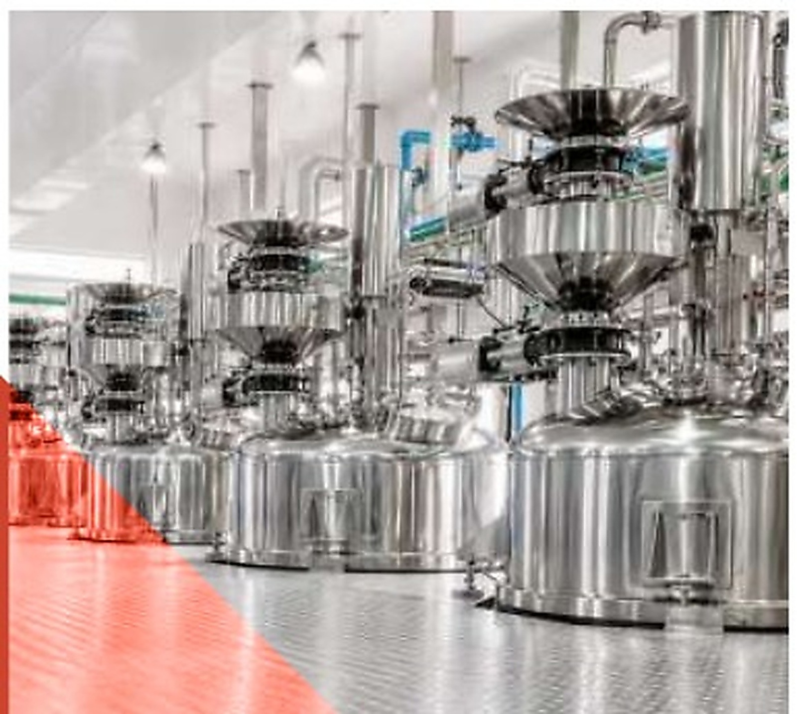 Sauce and Culinary Processing