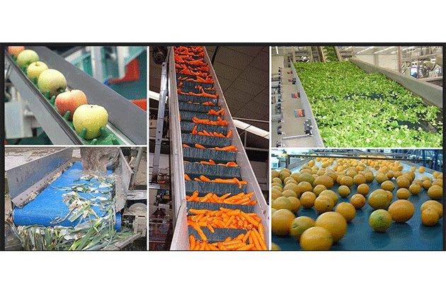 Fruit & Vegetable Washing Line